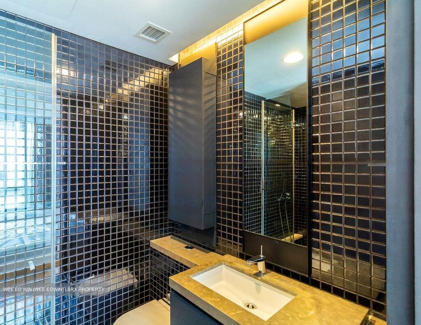 Skysuites@Anson (D2), Apartment #459136631